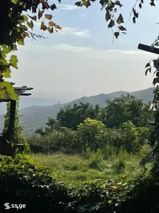 იყიდება, კერძო სახლი