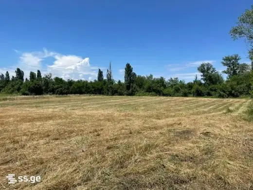 For Sale, Land