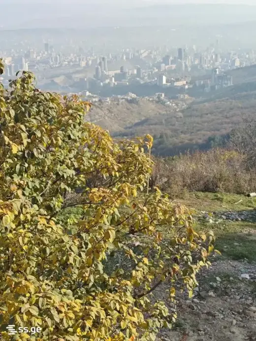 იყიდება, კერძო სახლი