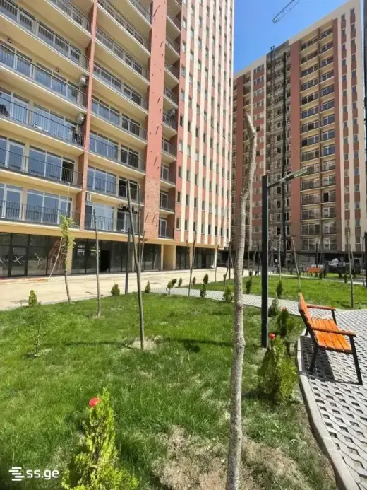 For Rent, Apartment