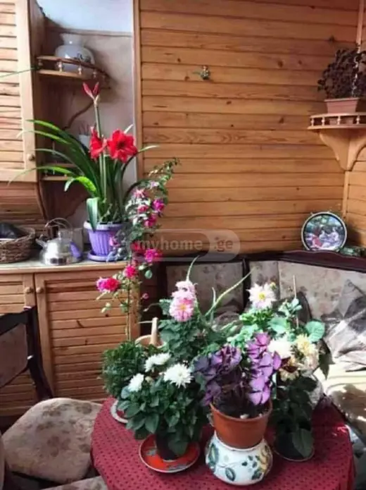 For Rent, Apartment