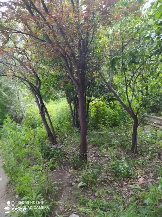 იყიდება, კერძო სახლი