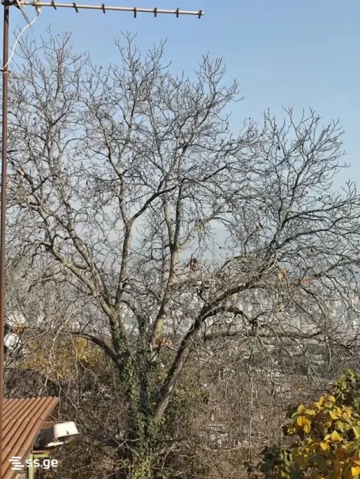 იყიდება, კერძო სახლი
