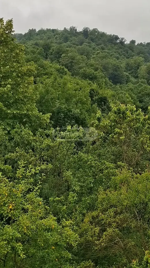 For Sale, Land