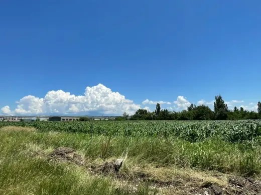 For Sale, Land