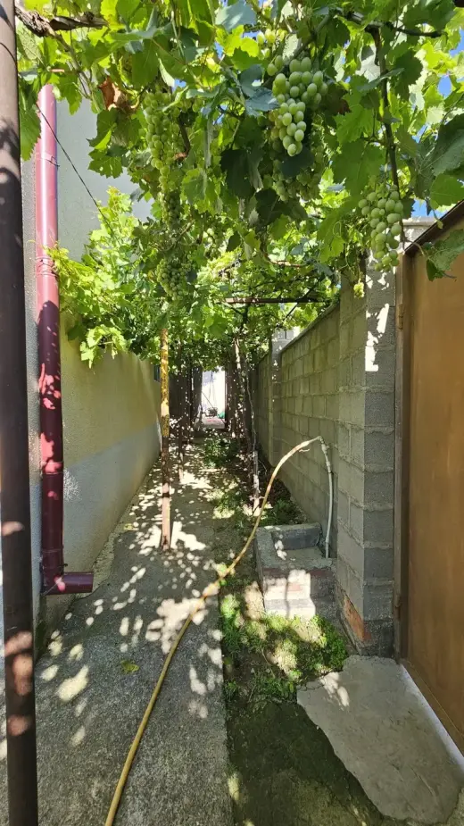 იყიდება, კერძო სახლი