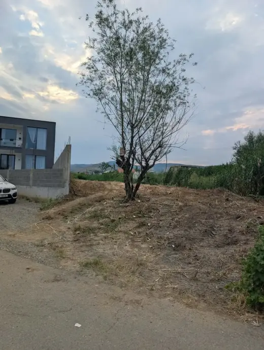 For Sale, Land